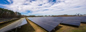 huerto solar